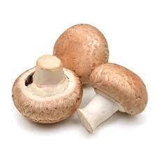 CHAMPIGNON BRUN