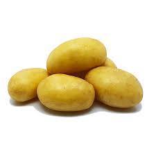 POMME DE TERRE DE CONSOMMATION AGATA
