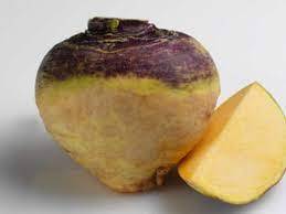 RUTABAGA