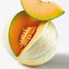 MELON CHARENTAIS JAUNE