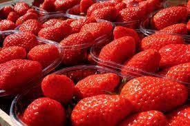 FRAISE 1 KG