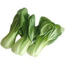 PAK CHOI CHINOIS