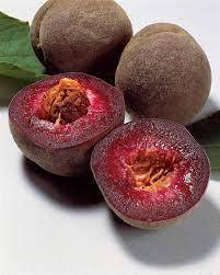 PECHE SANGUINE DE VIGNE