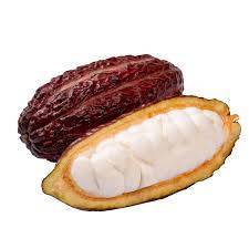 CABOSSE DE CACAO