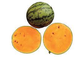 PASTEQUE ORANGE COUPEE